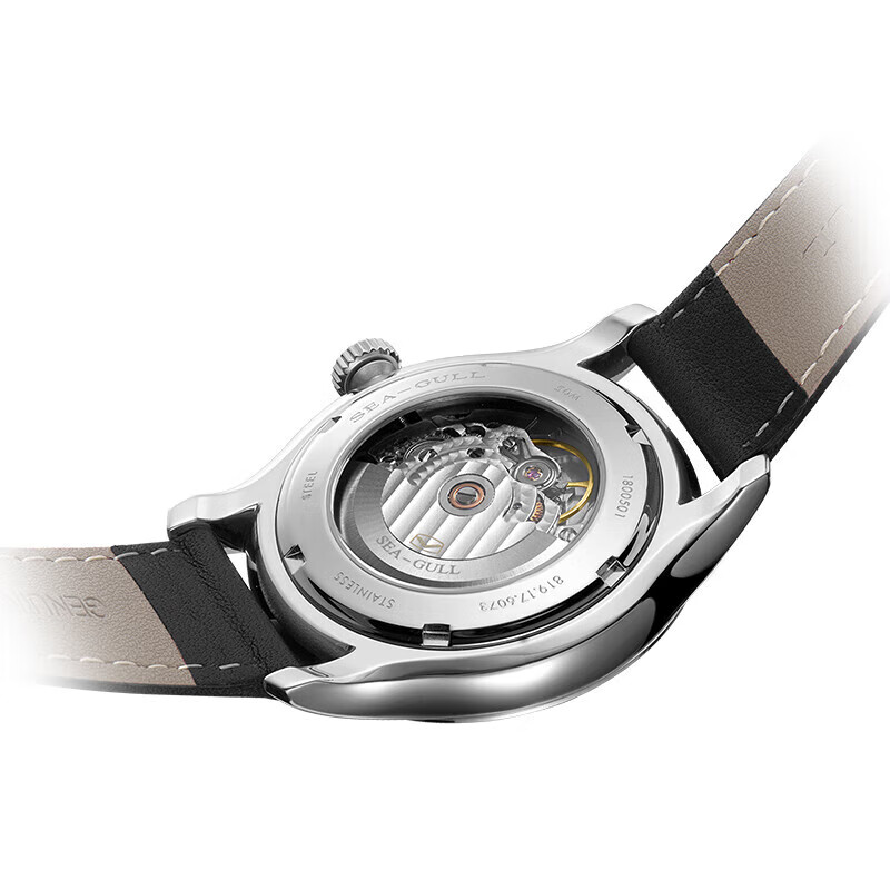 Seagull Men's Mechanical Watch - огляд і ціна Omega Watch Constellation